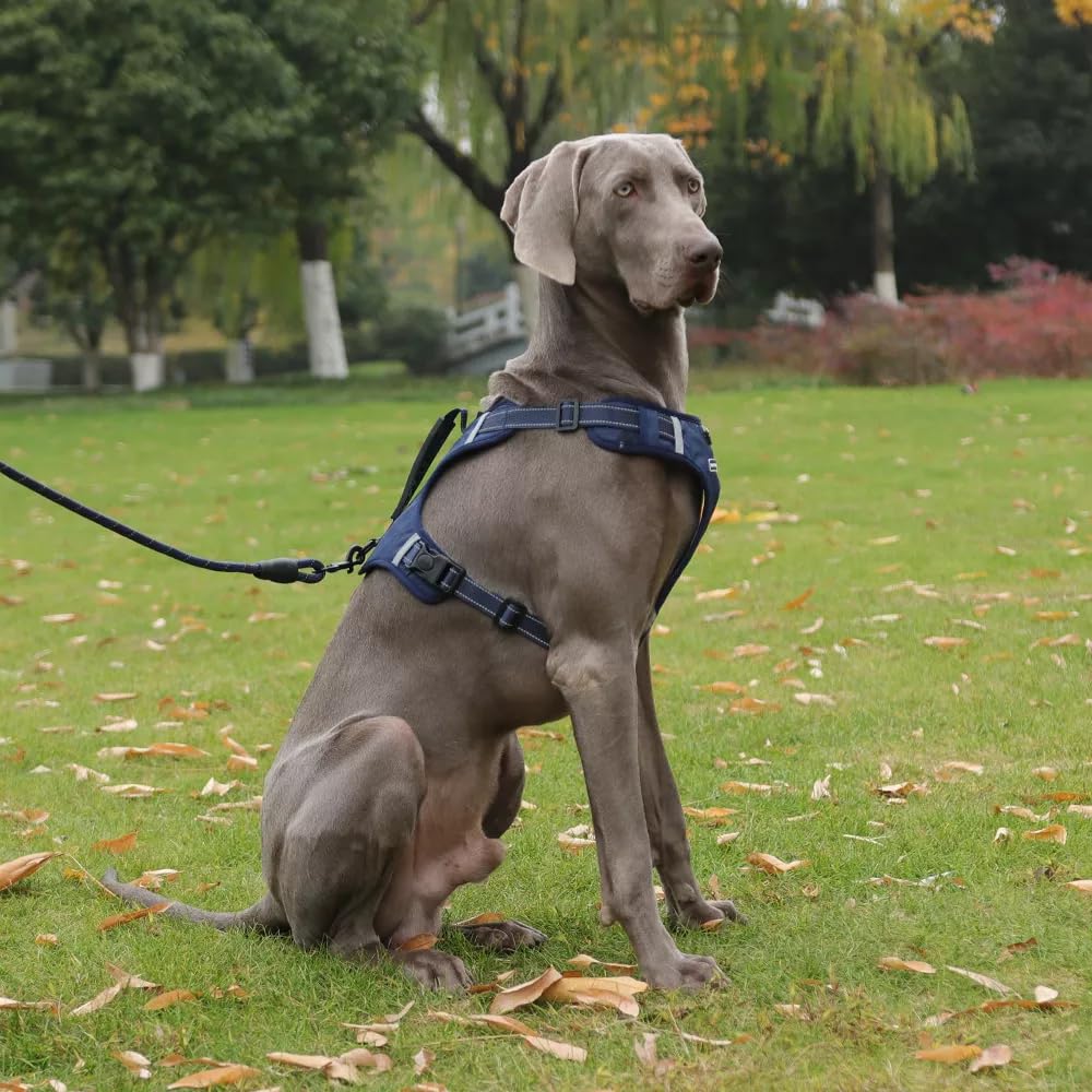 Arnés UNA MASCOTA con reflectores para paseos nocturnos seguros.
