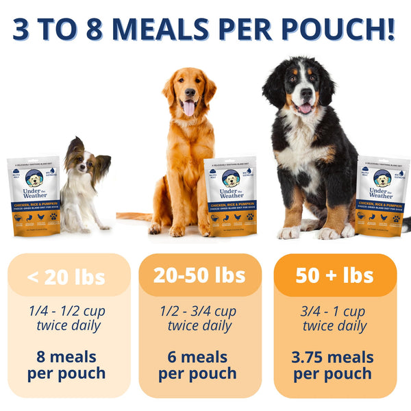 undertheweatherpet bland diet arroz y pollo para estómago suave