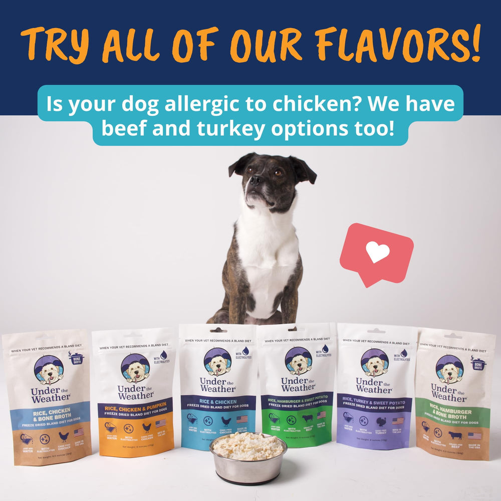 bland diet formulado por veterinarios para malestares digestivos