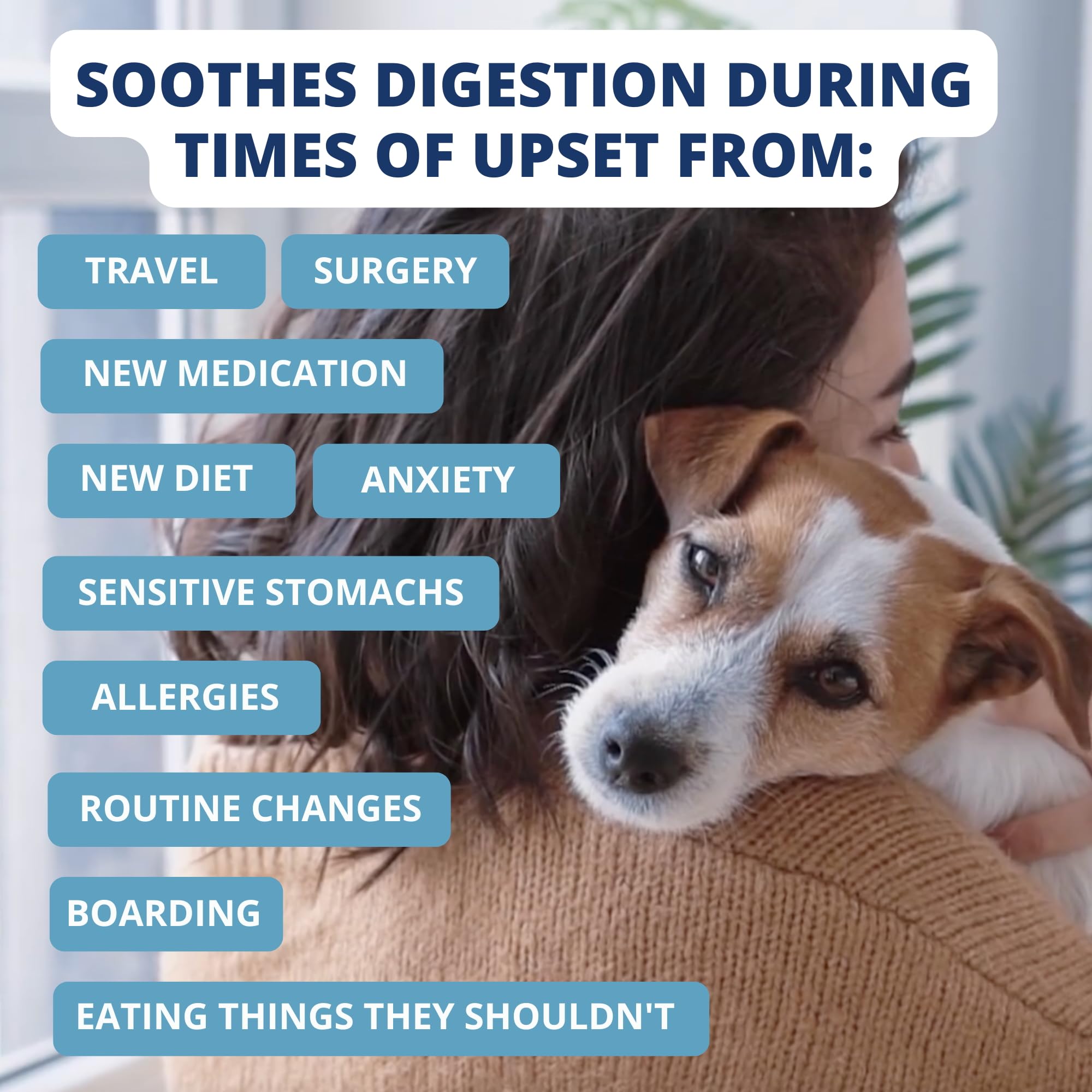 Undertheweatherpet caldo de hueso que apoya la digestión y la nutrición.