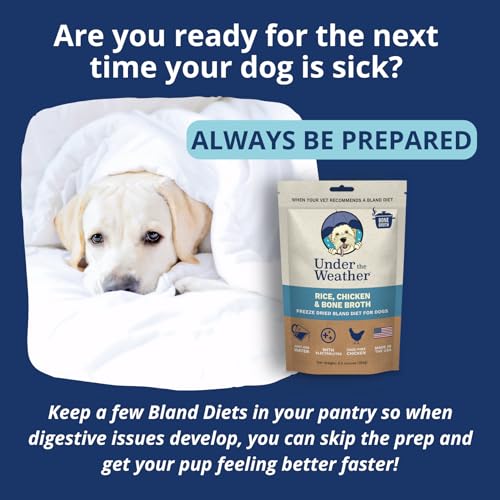 Undertheweatherpet dieta blanda con arroz blanco para estómagos sensibles.