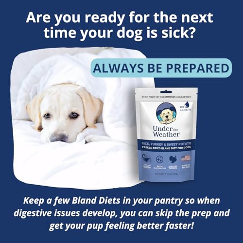 Undertheweatherpet dieta blanda para perros con electrolitos, hidratación y energía.