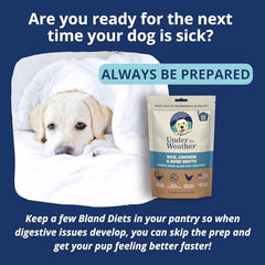 undertheweatherpet-dieta-blanda-perro-agregar-agua: listo para rehidratar al añadir agua
