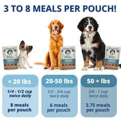 undertheweatherpet-dieta-blanda-perro-caldo-huesos: caldo de huesos para favorecer la digestión y hidratación