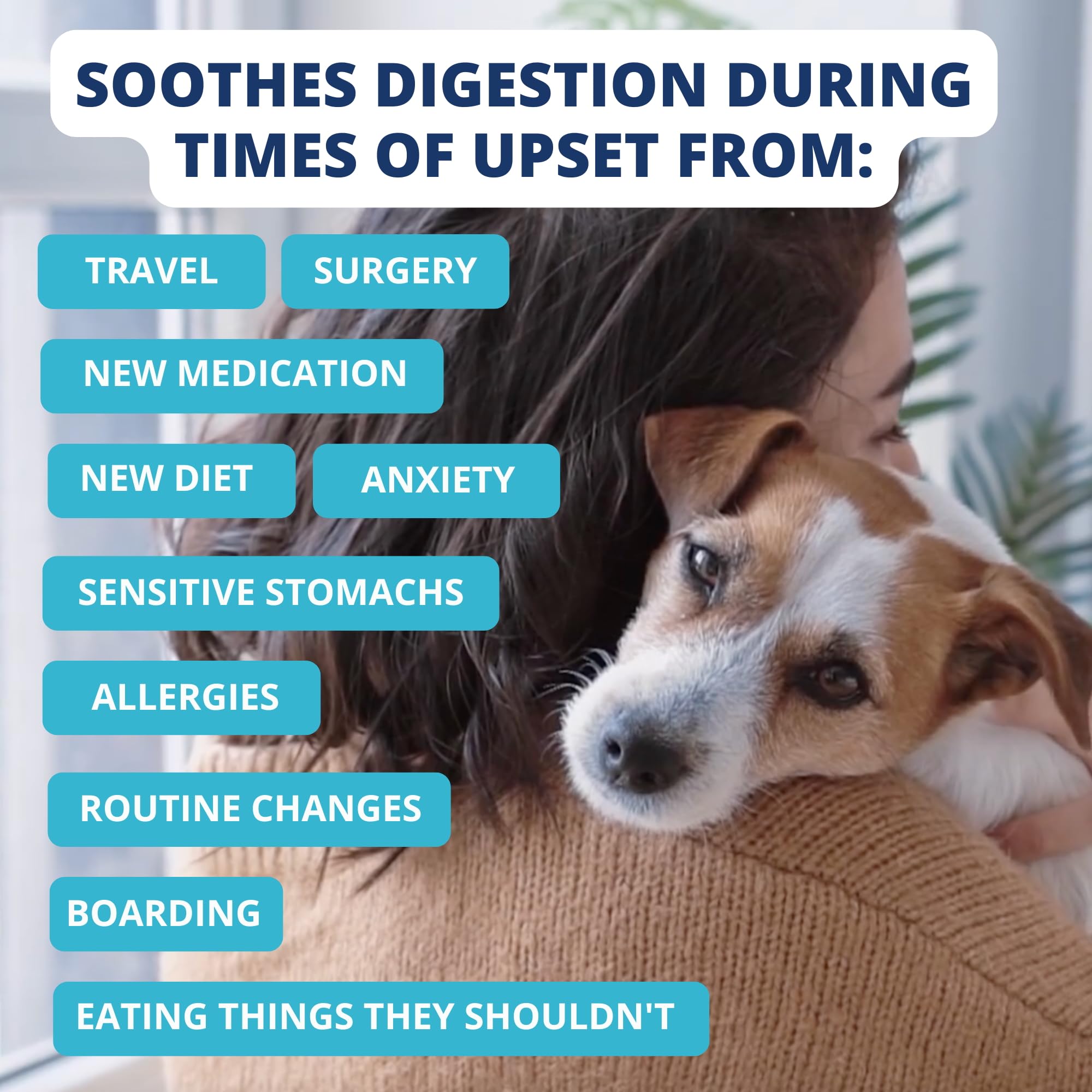 undertheweatherpet dieta blanda, ingredientes de alta calidad para una nutricion suave.
