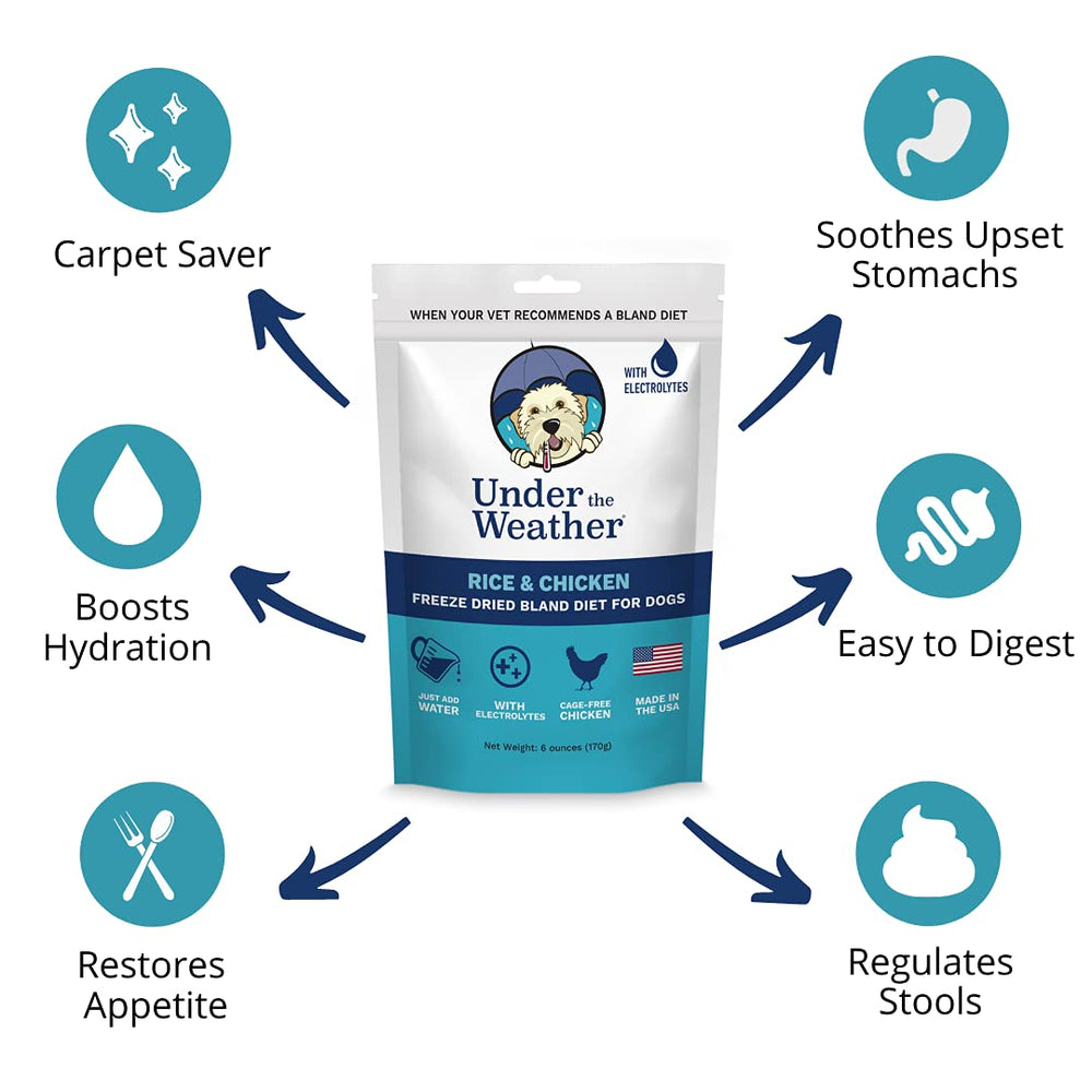 undertheweatherpet dieta blanda para perros, agua para rehidratar en minutos
