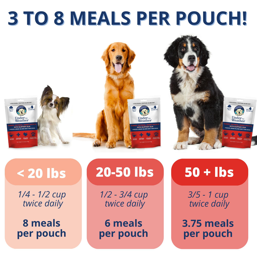 UndertheWeatherPet dieta blanda para perros: pavo, avena y boniato, facilita la hidratación.