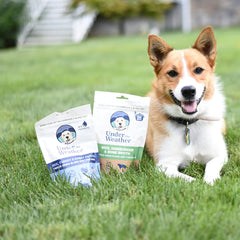 undertheweatherpet dieta blanda para perros, sirve como topper suave