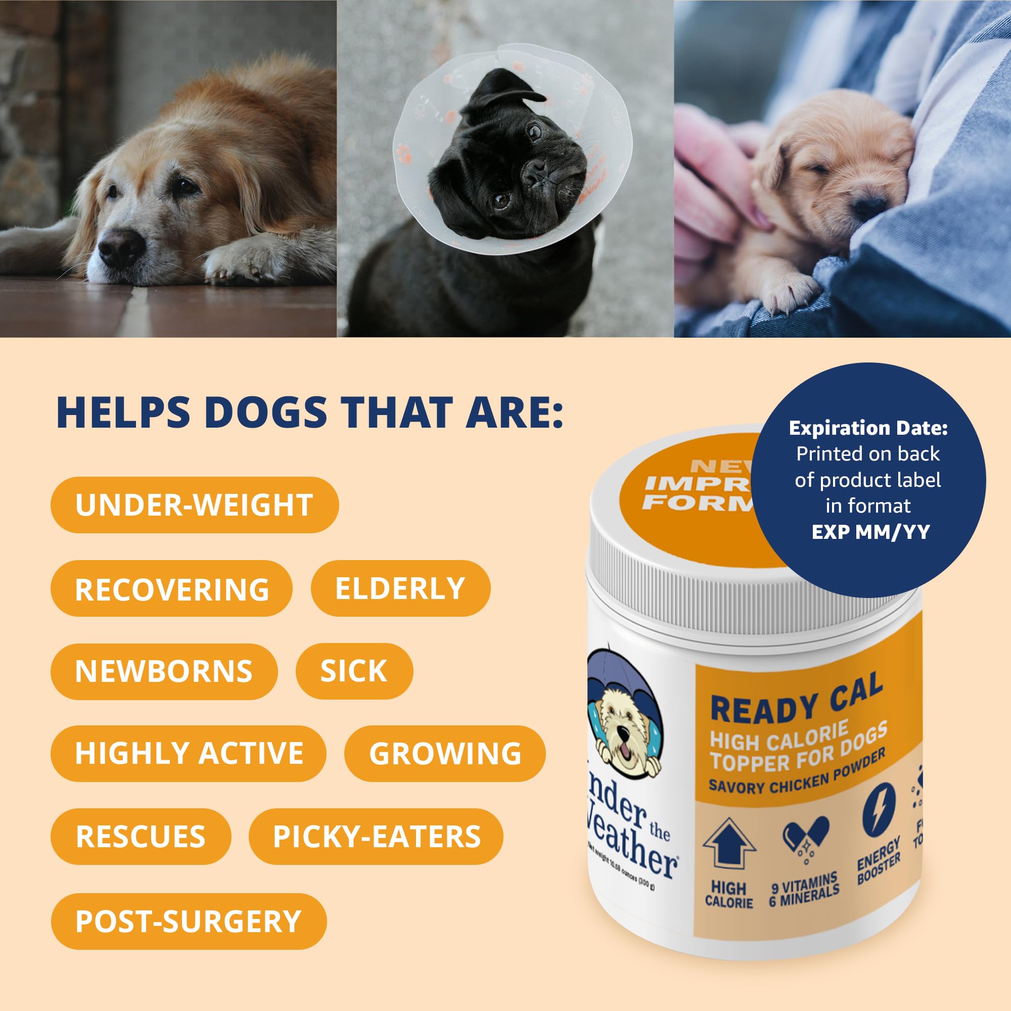 undertheweatherpet ganancia de peso rápida con calorías, complemento nutricional