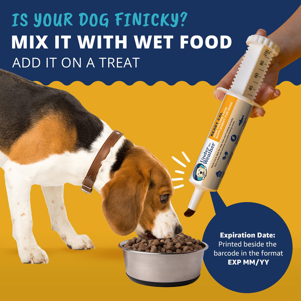 Undertheweatherpet ReadyCal: energía diaria para la rutina del perro