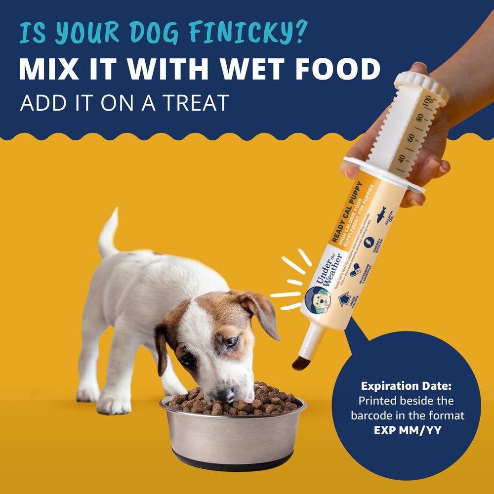 Under the Weather Pet Ready Cal, aplicación diaria fácil con dosis ajustable para cachorros