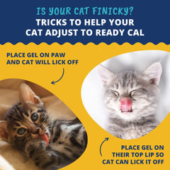 Under the Weather Pet Cal para gatito, vitaminas y minerales para desarrollo