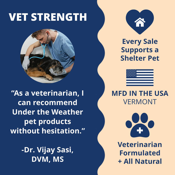 undertheweatherpet vitaminas y minerales para perros, soporte de nutrientes