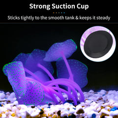 Uniclife decoracion acuario verde, efecto fluorescente visible con iluminación actínica