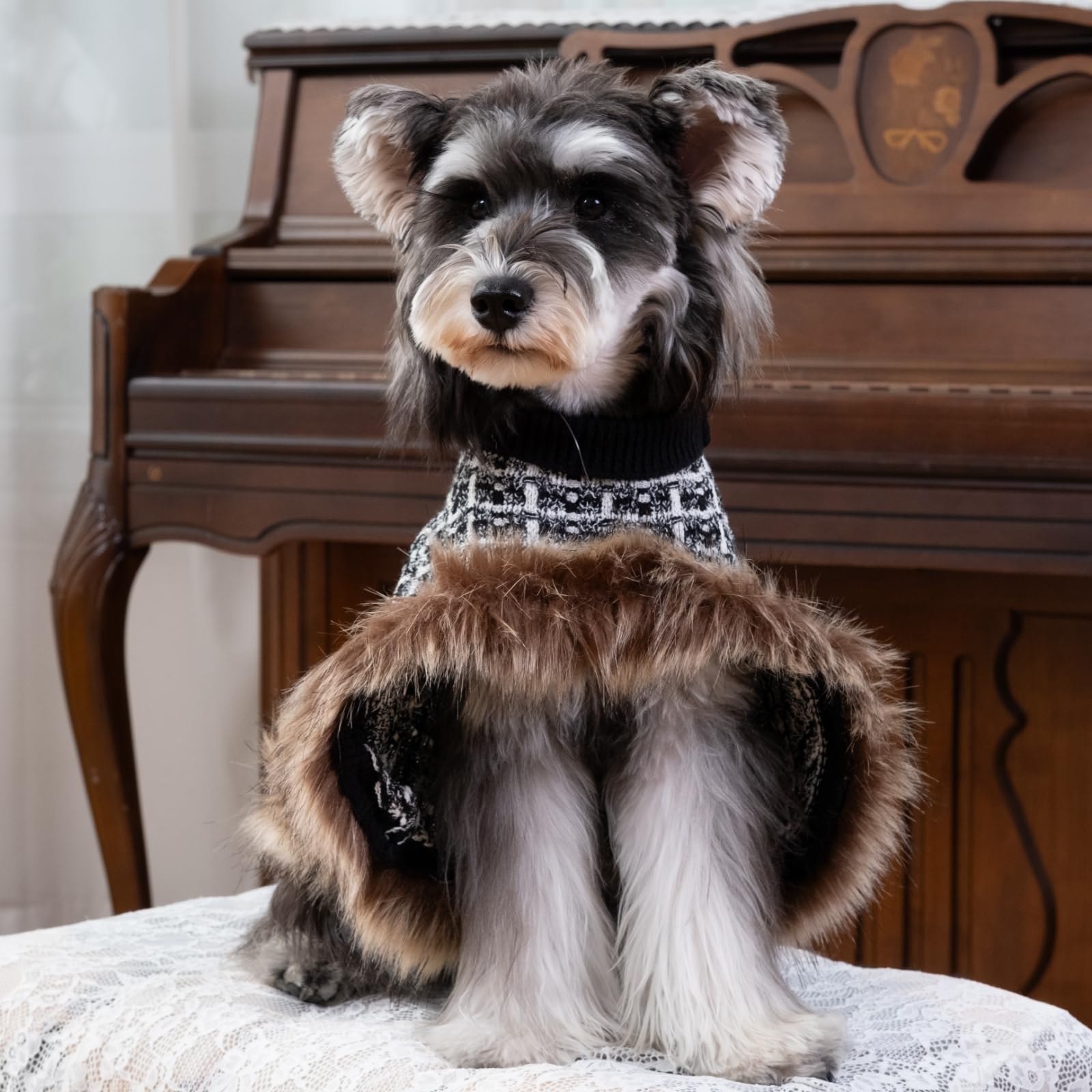 UNIPUP abrigo para perro cuello alto, protección extra contra el frío