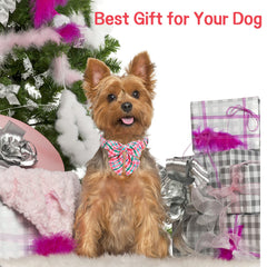 Unique style paws ajuste con seis tallas para perros de todos los tamaños.