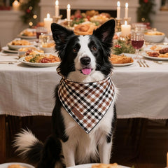 Bandana de algodón lavable de Unique Style Paws para paseos y juego.
