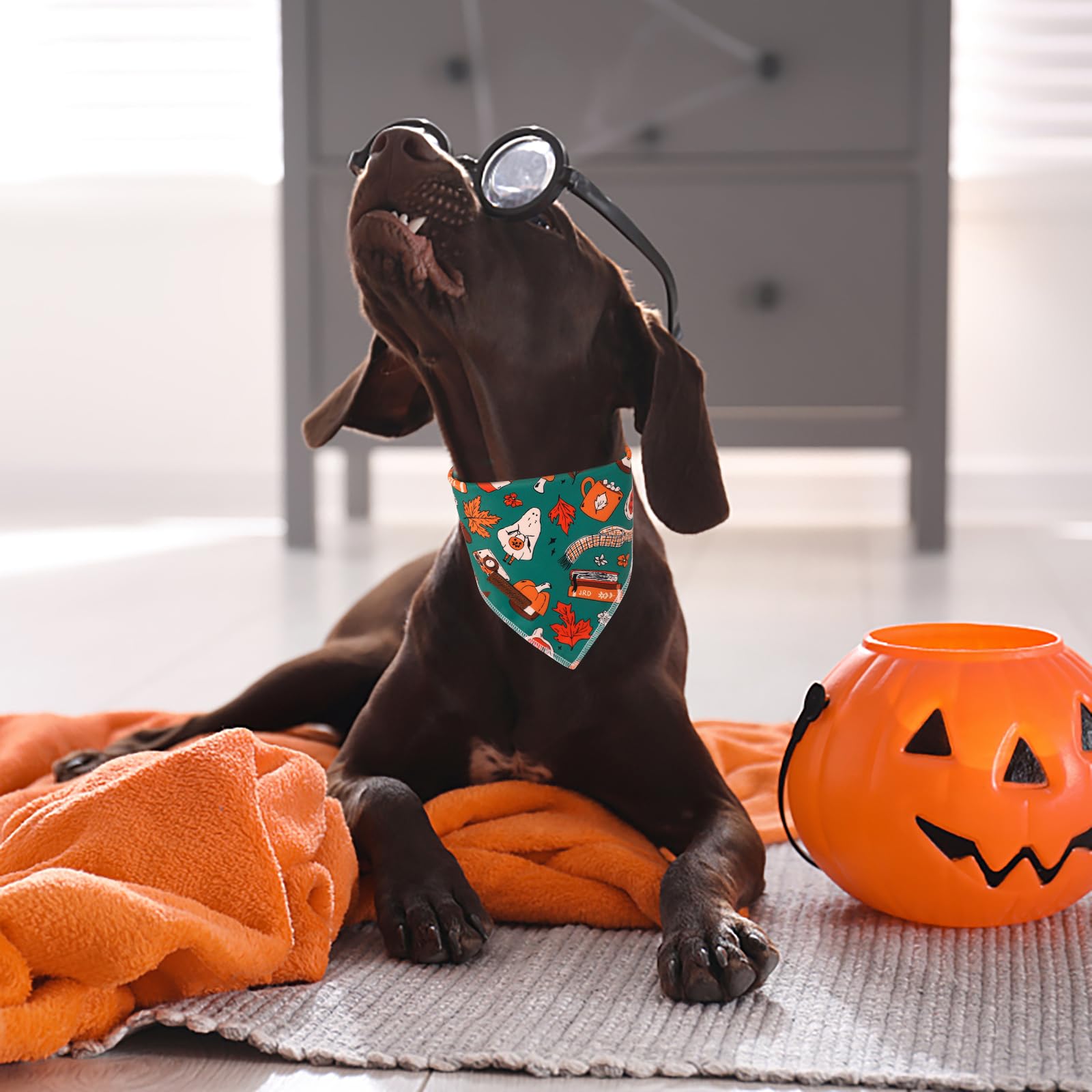 Bandana perro para ocasiones, Unique Style Paws, se ajusta con nudo con facilidad.