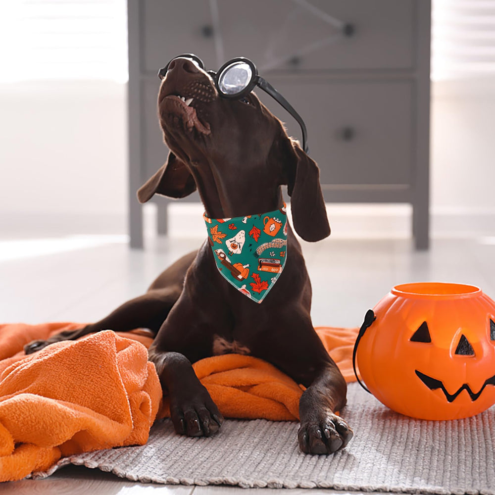 Bandana perro para ocasiones, Unique Style Paws, se ajusta con nudo con facilidad.