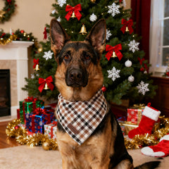 Bandana Unique Style Paws para ocasiones especiales y fotos.