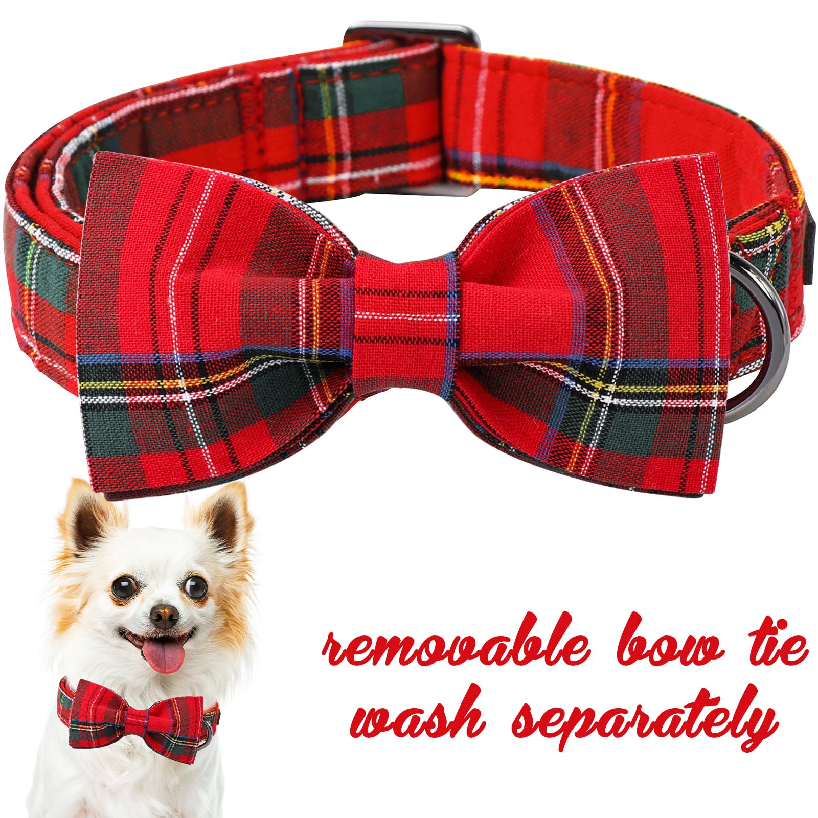 Unique Style Paws collar ajustable para perros y gatos, se adapta a varias tallas