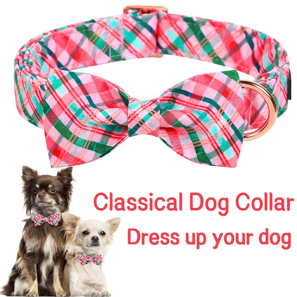 Collar Unique Style Paws con ajuste de cinco tallas
