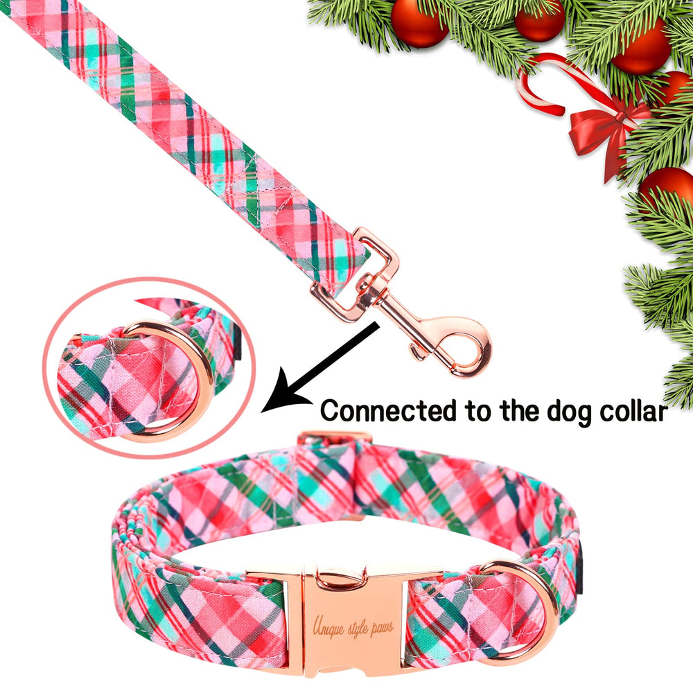 Collar clásico Unique style paws rosa-verde con cuadros para talla XS