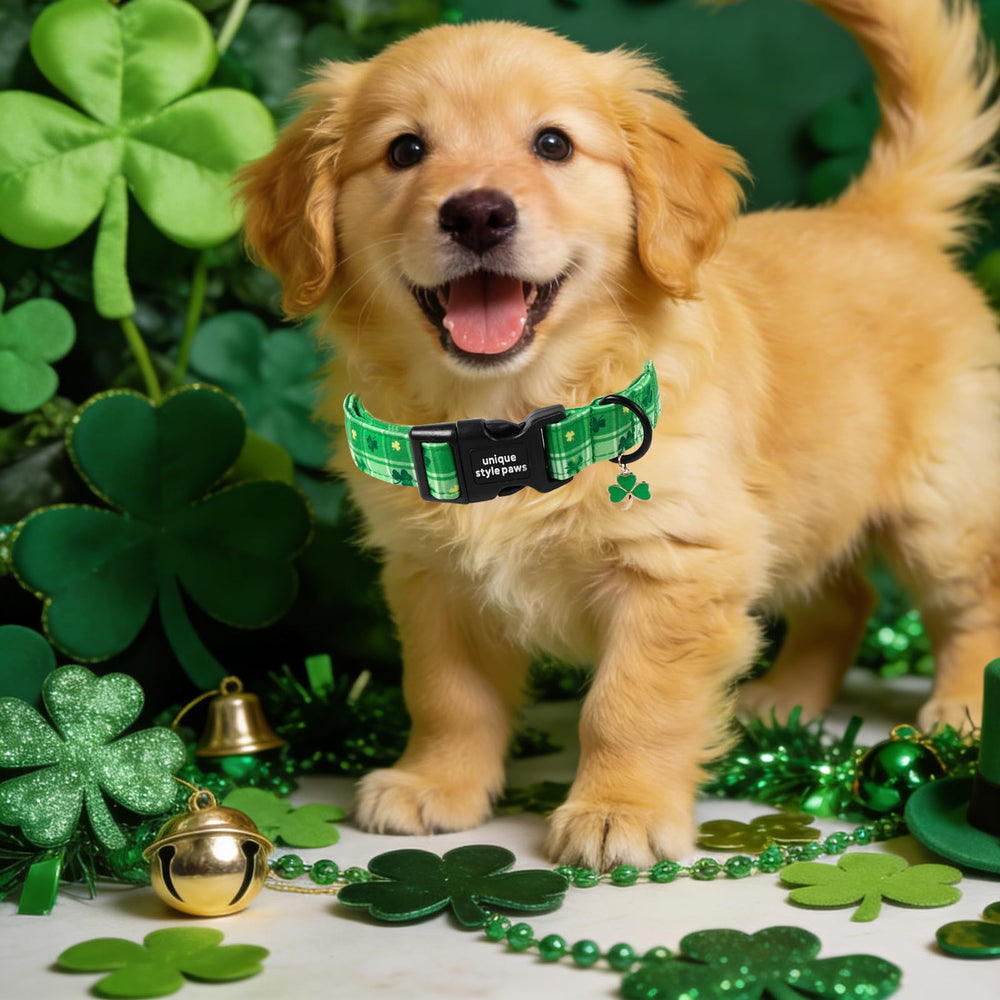 Diseño dia san patricio de Unique Style Paws para fiestas
