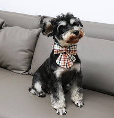 Unique Style Paws hebilla reforzada y doble puntada para mayor durabilidad
