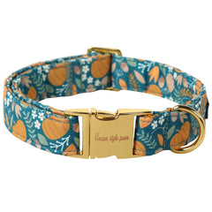 Collar Unique style paws Halloween con hebilla metálica y calabaza verde.