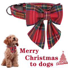 Unique style paws hebilla ajustable para crecer junto a tu perro.