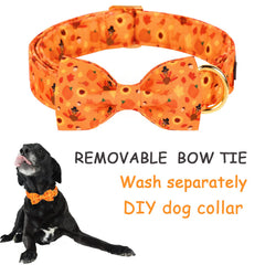 Lazo desmontable en collar Unique Style Paws para cambiar look.