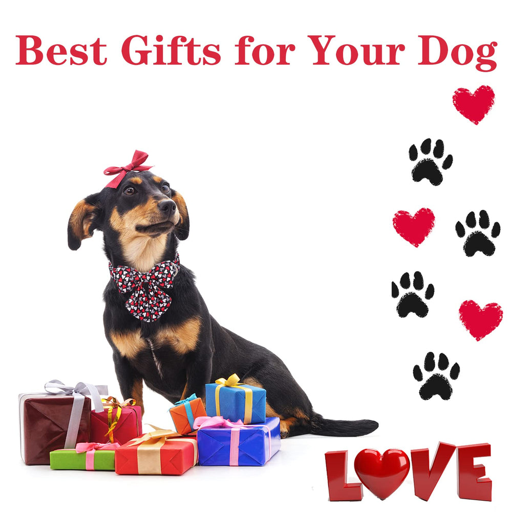 Look de San Valentín para perro con collar Unique Style Paws.