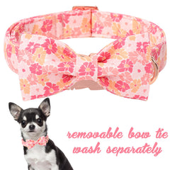 Collar Unique Style Paws de algodón suave para pieles sensibles.