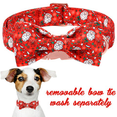 Raso y lazo desmontable del collar Unique Style Paws en primer plano