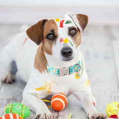 Unique Style Paws Collar de Pascua algodón suave y cómodo