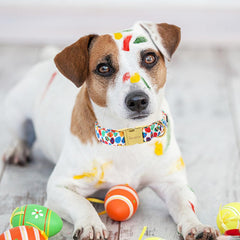 Unique style paws collar de Pascua, hebilla plástica duradera para uso diario.