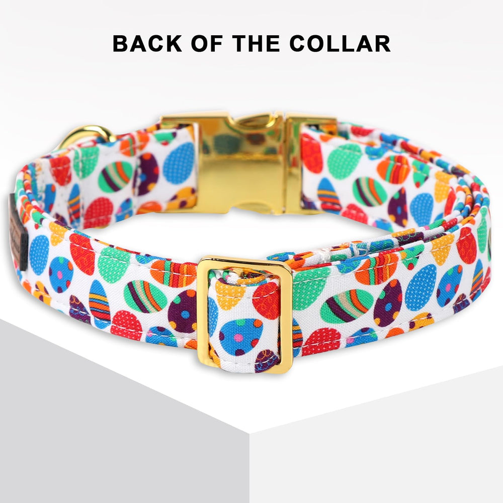 Unique style paws collar de Pascua, diseño con patrón huevo colorido para paseos.