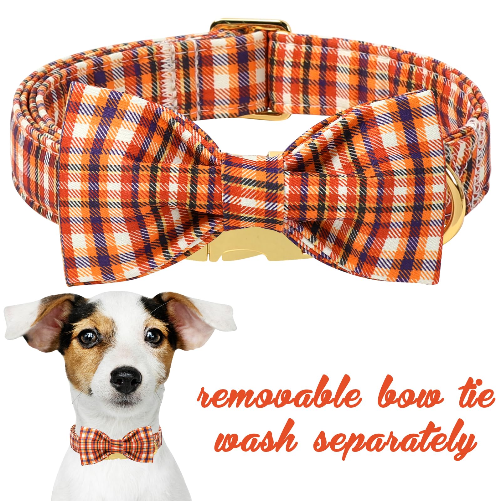 Collar Unique Style Paws ajustable de algodón, ideal para diferentes tamaños de perros.
