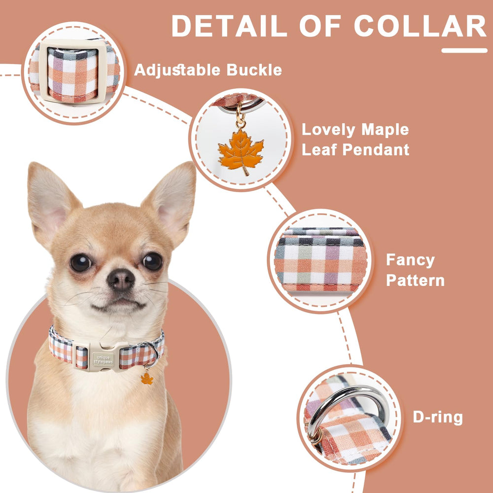 Collar para perro ajustable, se adapta a diferentes tamaños con comodidad.