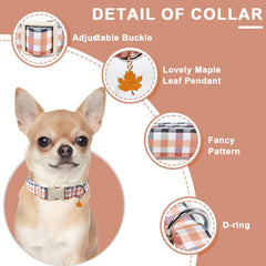 Collar para perro ajustable, se adapta a diferentes tamaños con comodidad.