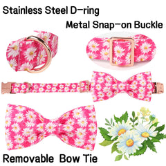 Unique style paws collar ajuste de cinco tallas para crecimiento cómodo.