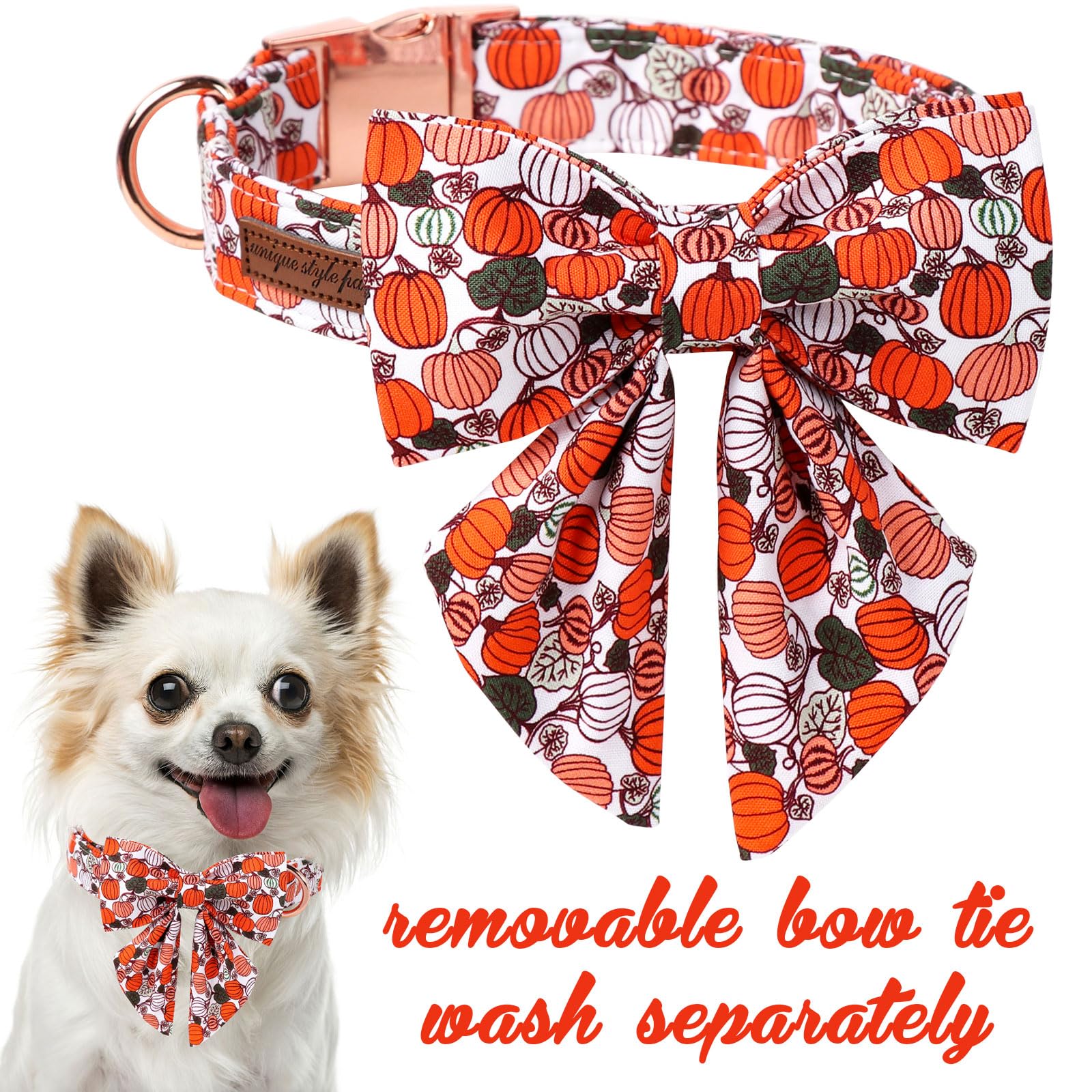 Collar ajustable Unique Style Paws para perros XS a XL, ajuste perfecto.