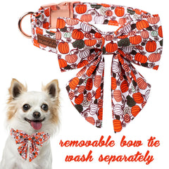 Collar ajustable Unique Style Paws para perros XS a XL, ajuste perfecto.