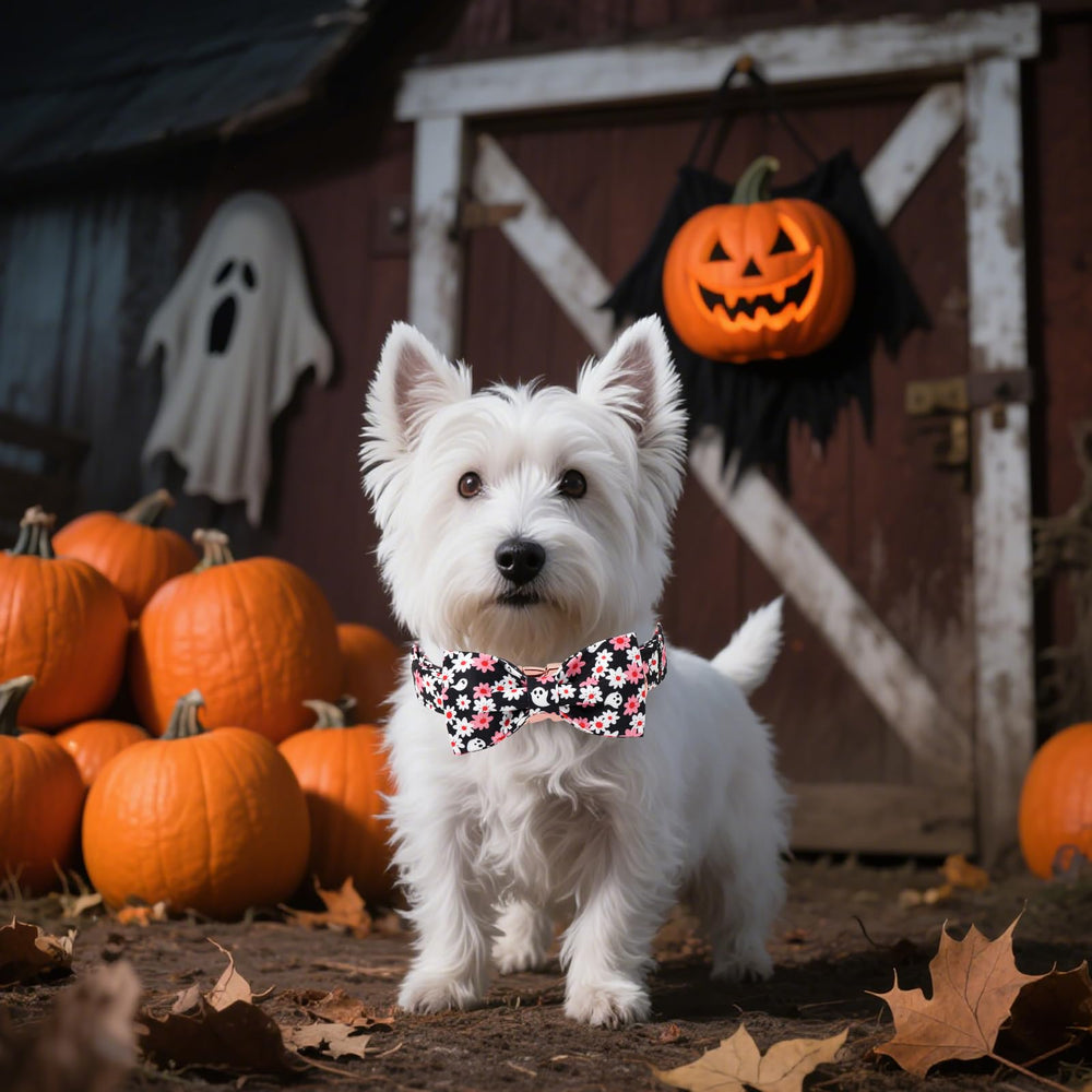 Unique Style Paws talla ajustable XXS-XL para perros pequeños y grandes.