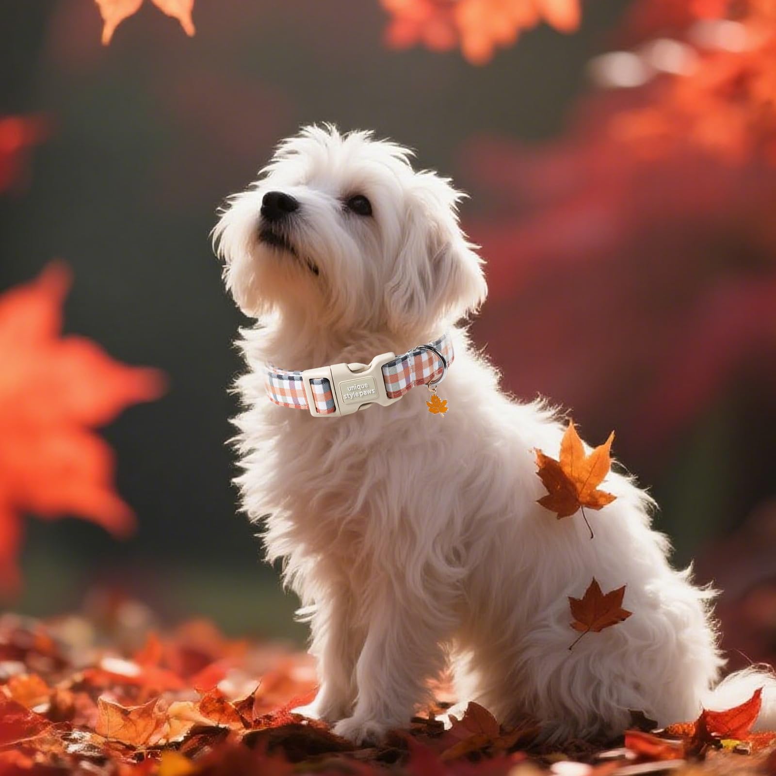 Diseño plaid del collar, perfecto para fotos y salidas de otoño.