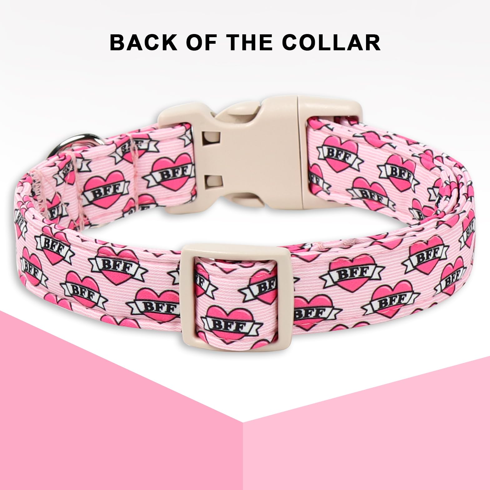Collar Unique Style Paws con diseño Valentín, perfecto para sesiones de fotos.