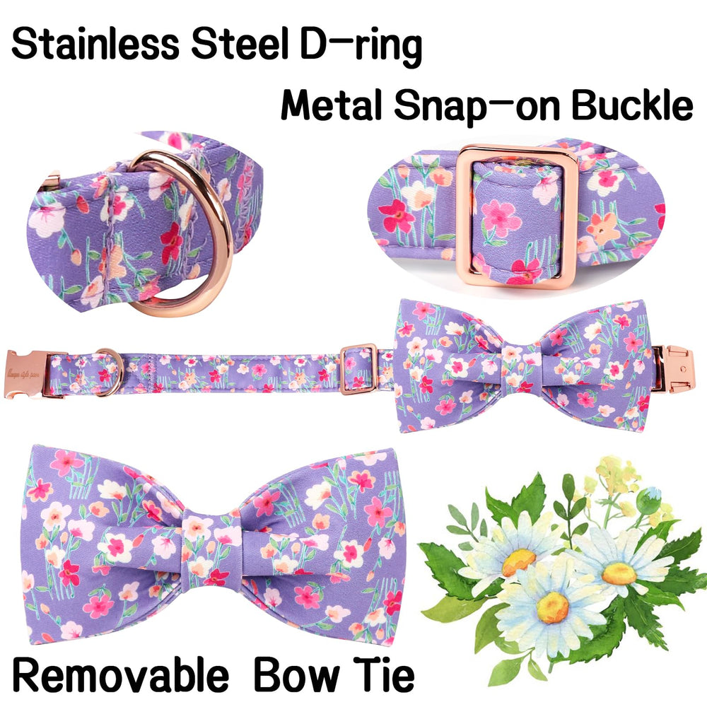 Unique Style Paws collar con flor multicolor, diseño de primavera