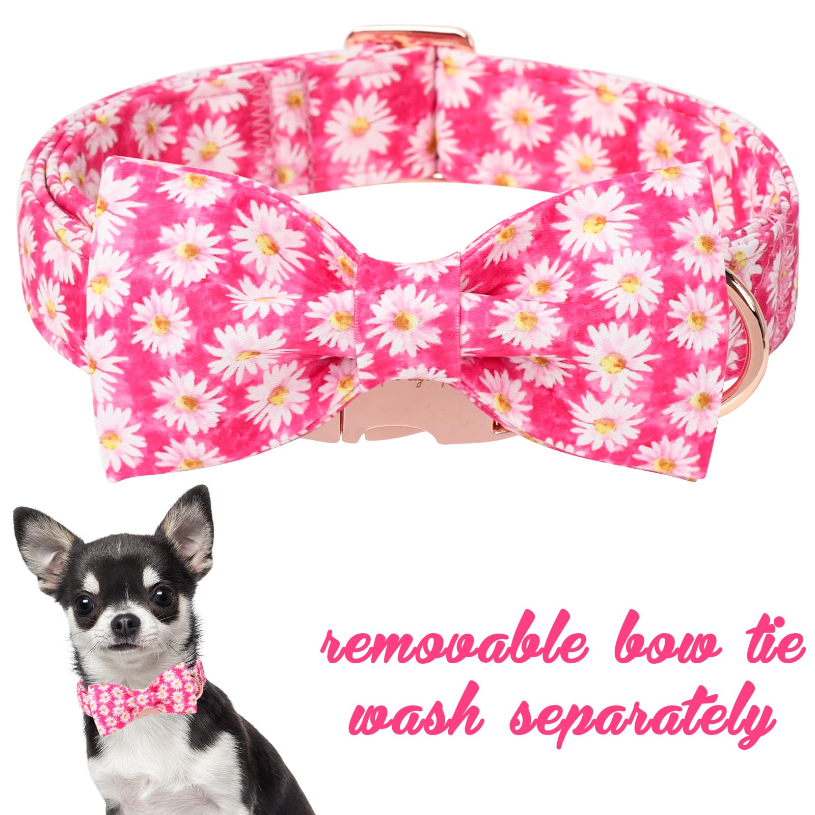 Unique style paws collar con flor rosada tipo margarita, ideal para estilos primaverales.
