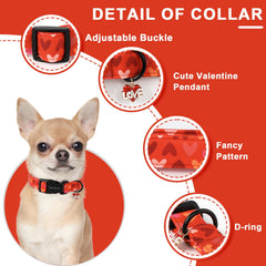 Unique Style Paws collar con hebilla de plastico, seguro y duradero.